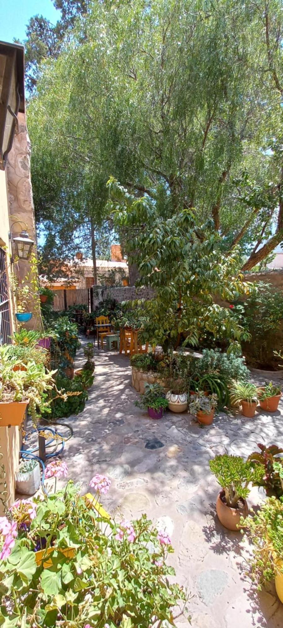 Apartamento En El Vivero Тилькара Экстерьер фото